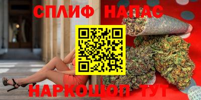 крисы Бузулук
