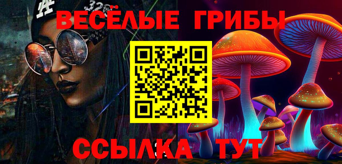 Усолье-Сибирское  Галлюциногенные грибы Cubensis  где можно купить   Галлюциногенные грибы Psilocybe  Вход с VPN 