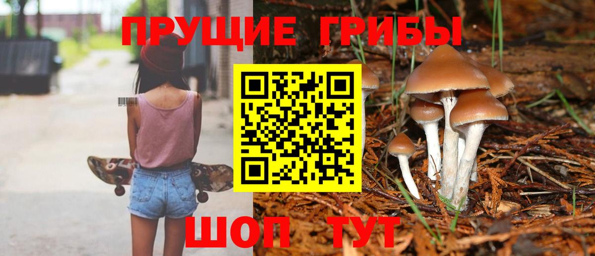 Галлюциногенные грибы Psilocybe Усолье-Сибирское